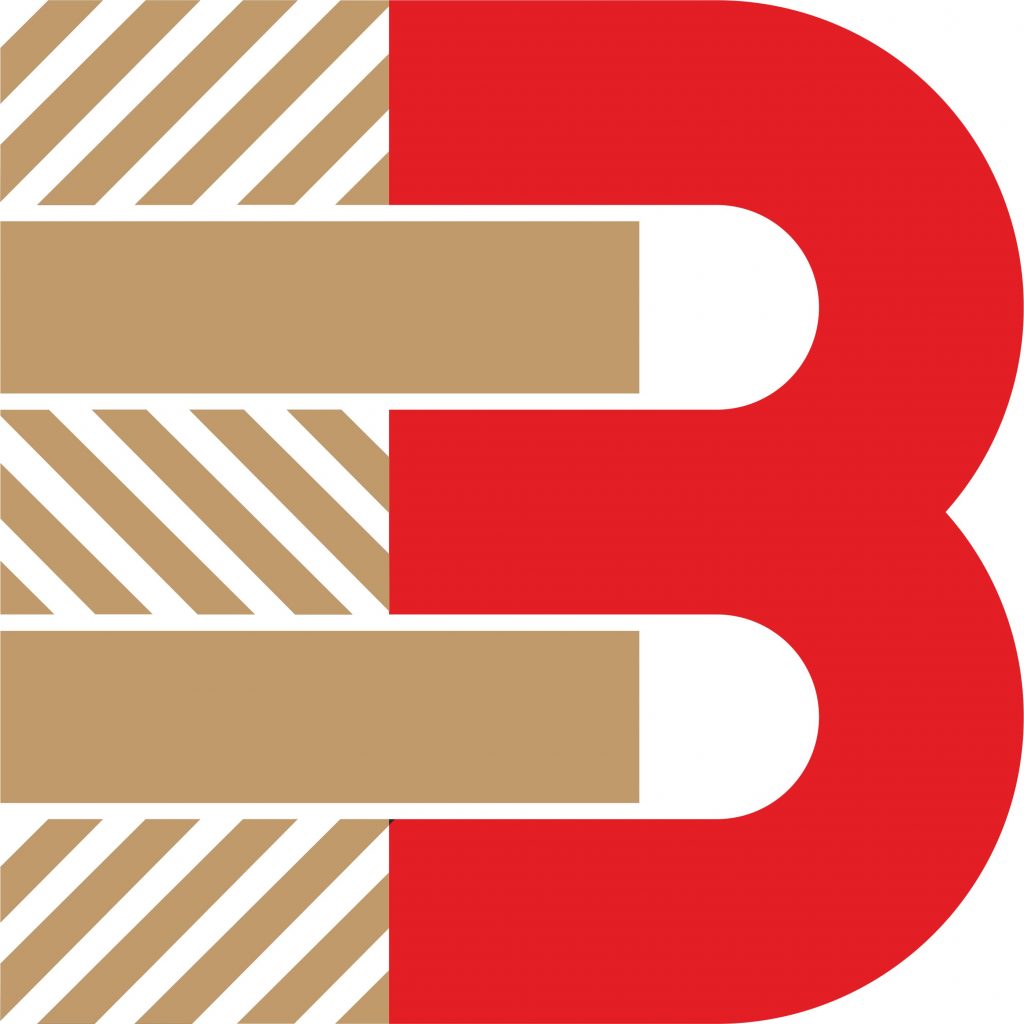 Návrh loga firmy Budmero