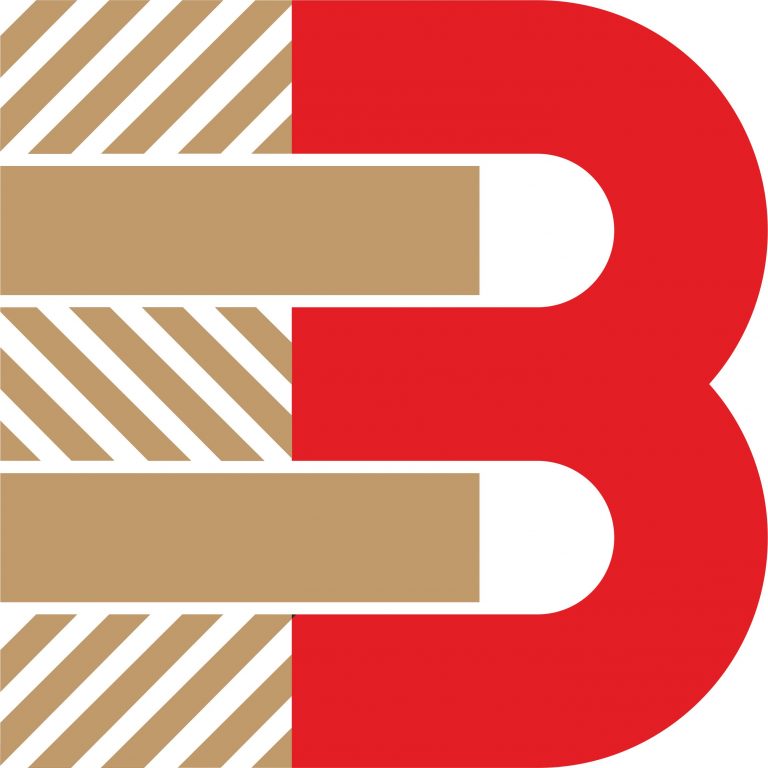 Návrh loga firmy Budmero