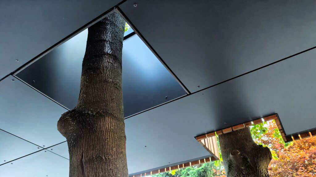 CLT dom vo svahu atelier Peráček strom cez strechu