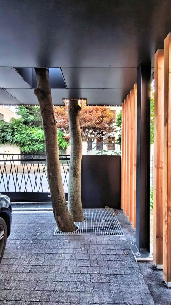 CLT dom vo svahu atelier Peráček strom v streche