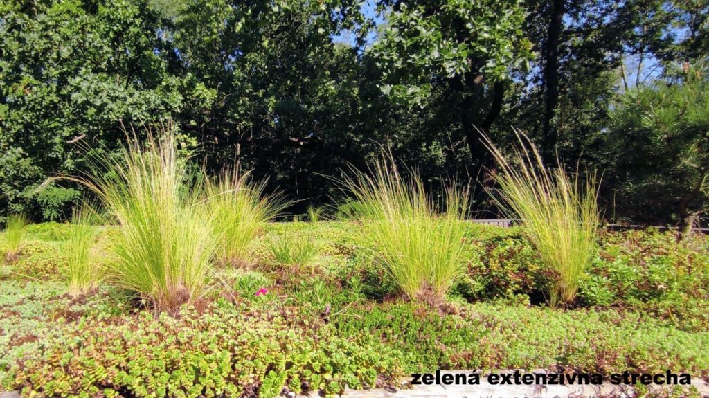 Zelená strecha drevodom